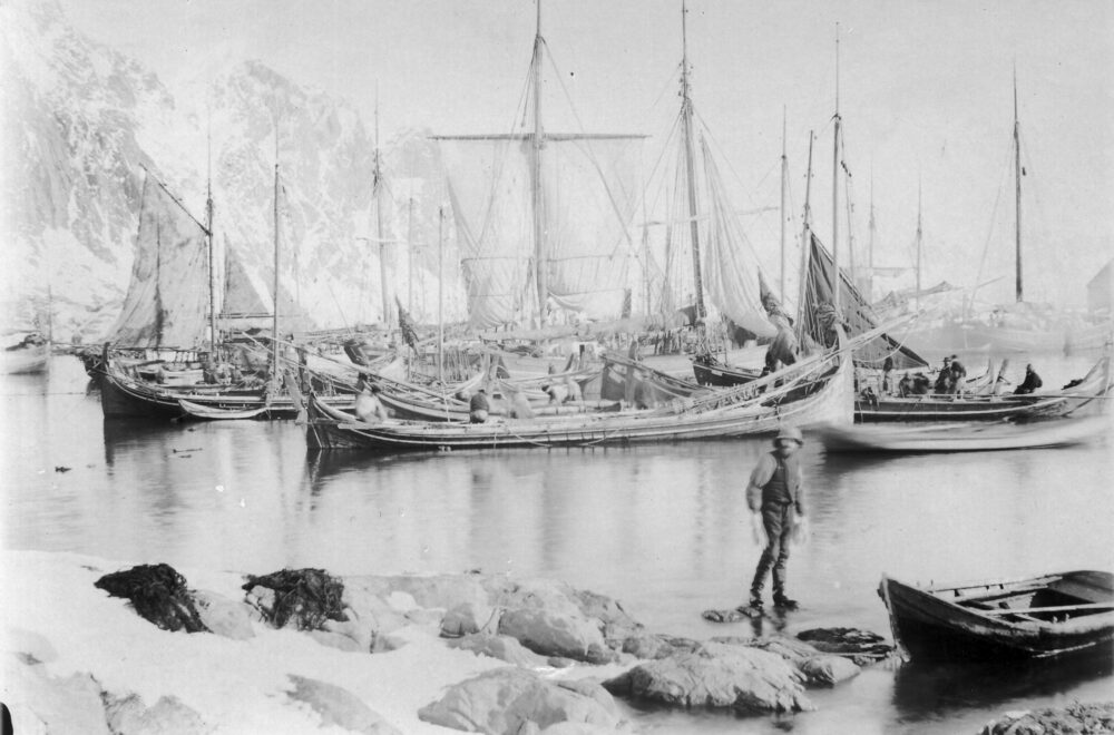 The Lofoten fishery